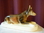 Tierfigur Schäferhund Royal Dux
