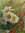 Ölgemälde Keilrahmen Leinwand 1915 signiert datiert Blumenstilleben